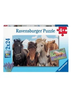 2x24p Horse Love - N/A