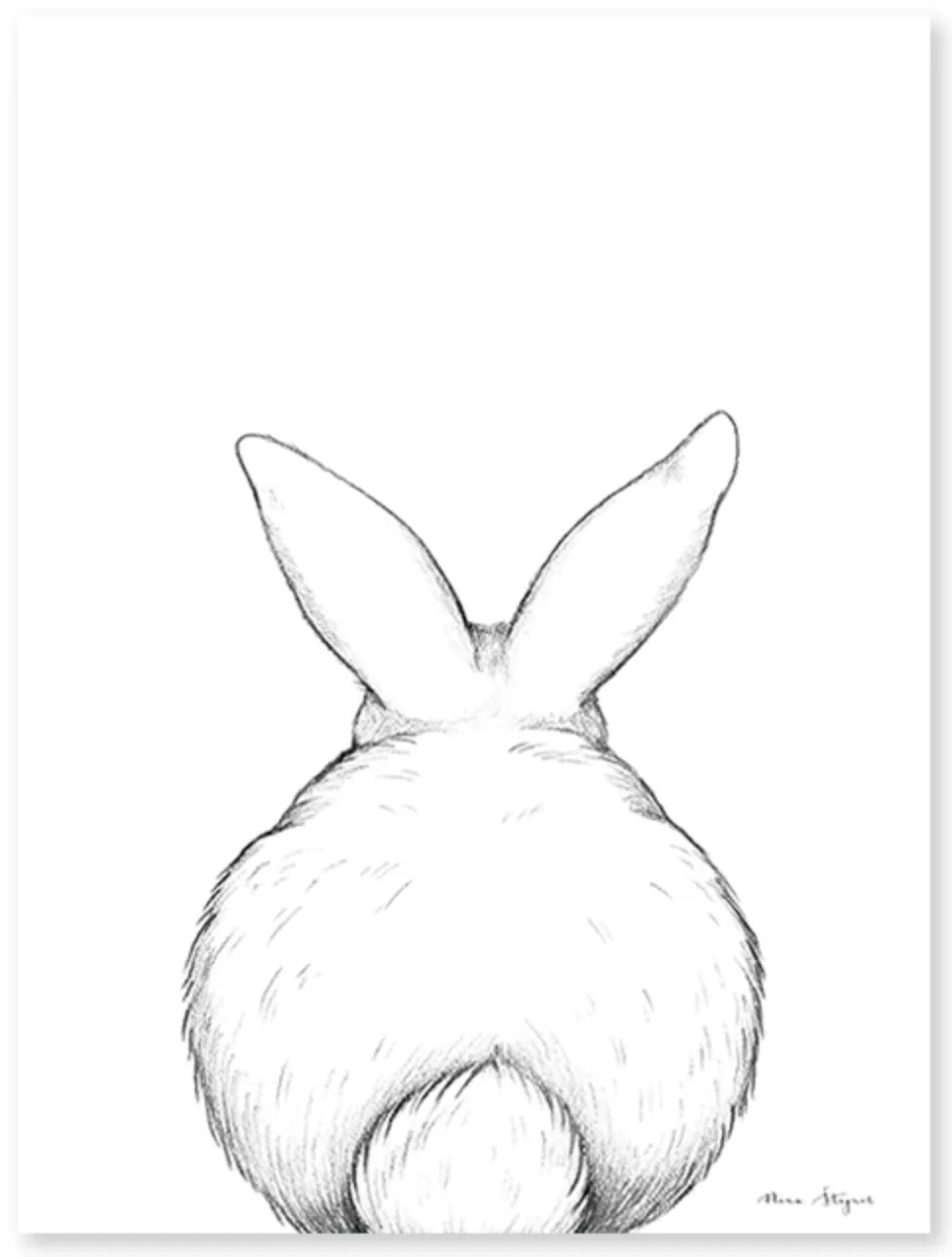 Affiche lapin de dos LILIPINSO