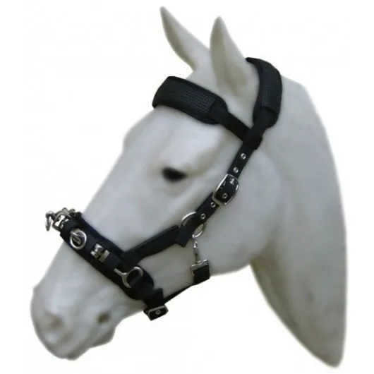 Cavalhorse Nylon Neoprene Lined Cavesson