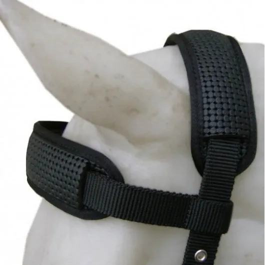 Cavalhorse Nylon Neoprene Lined Cavesson