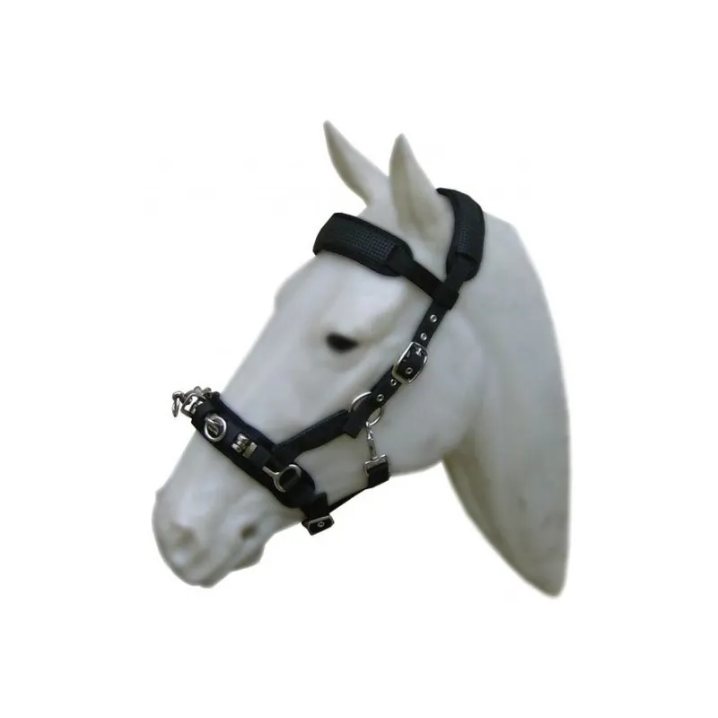 Cavalhorse Nylon Neoprene Lined Cavesson