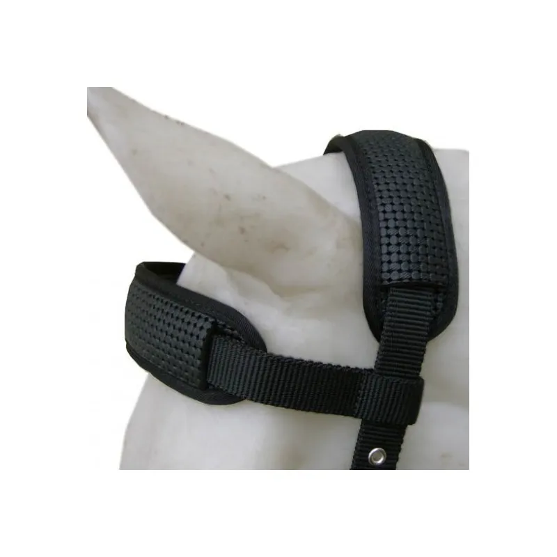 Cavalhorse Nylon Neoprene Lined Cavesson