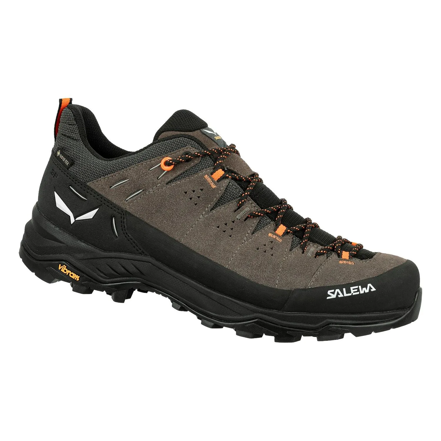 Chaussure de randonnée Alp Trainer 2 GTX - Bungee