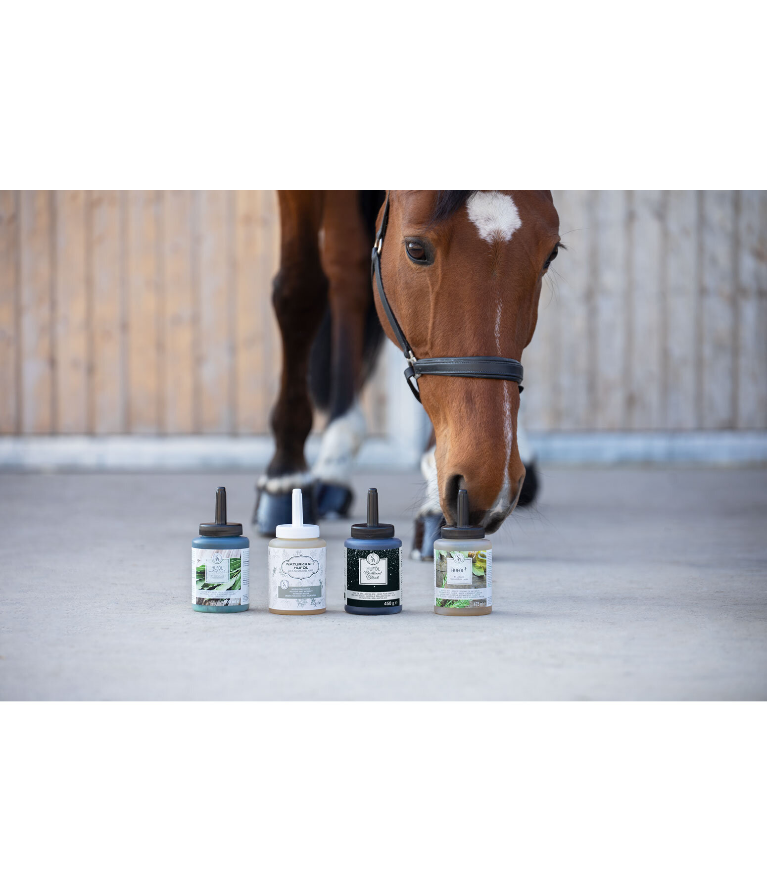 Hoof oil for horses +