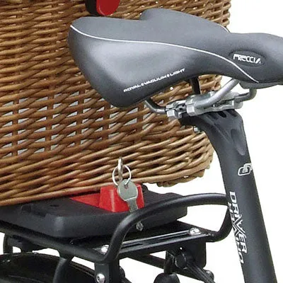 Bike basket for dogs on rear rack - GTA Doggy Plus Klickfix.