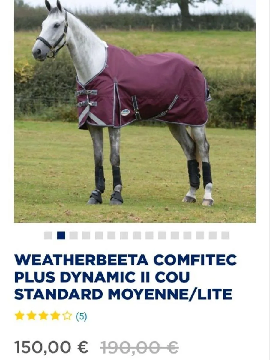 Weatherbeeta 100g Outdoor Turnout Rug