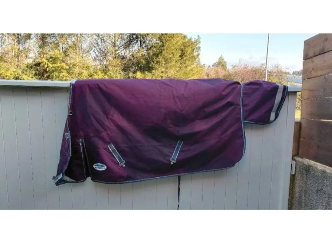 Weatherbeeta 100g Outdoor Turnout Rug